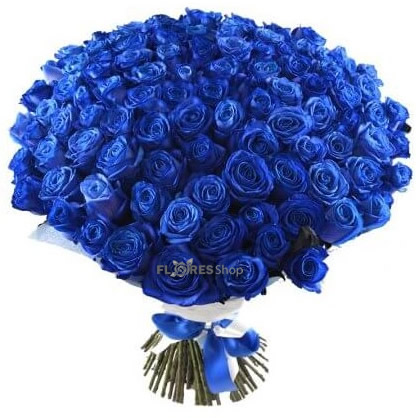 Amo Rosa Azul 100 Rosas